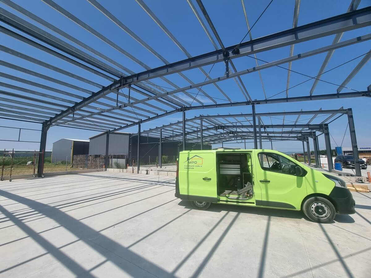 MONDO PROFI DESIGN - echipă și proiecte